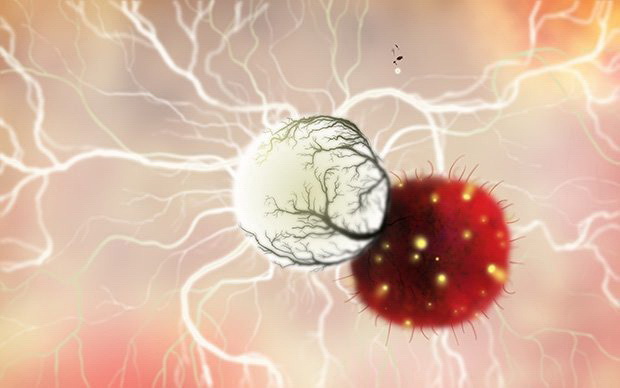 植物精灵(Botanicula)最新版_植物精灵(Botanic