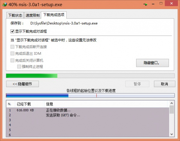 Internet Download Manager(IDM)