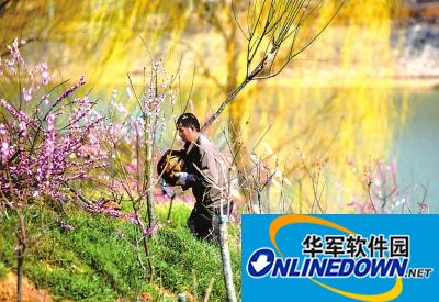 2017植树节手抄报图片大全