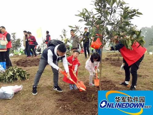 2017植树节手抄报图片大全