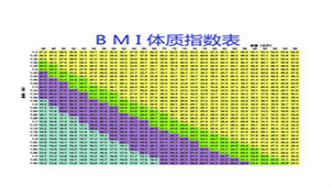 Bmi指数_360百科   360百科   让求知更简单