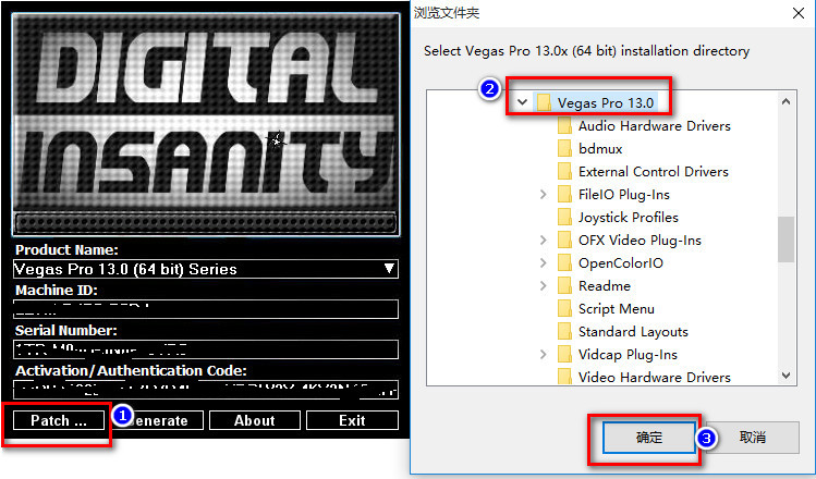 Sony Vegas