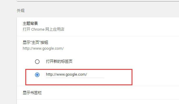谷歌浏览器(Google Chrome)