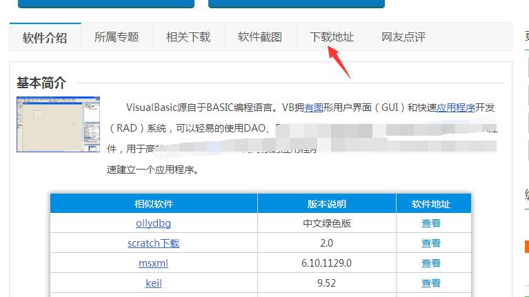Visual Basic(VB)