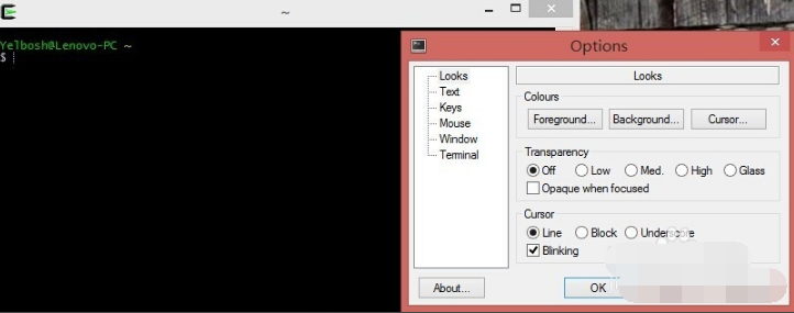 Cygwin