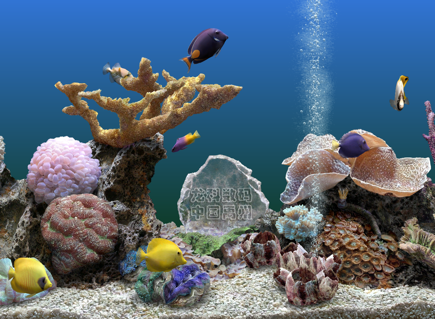 热带鱼水族箱屏幕保护程序