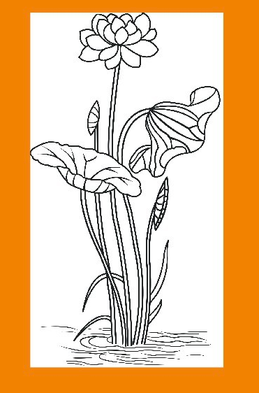 CorelDraw(CDR) X4