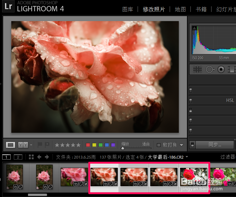 Adobe Photoshop Lightroom