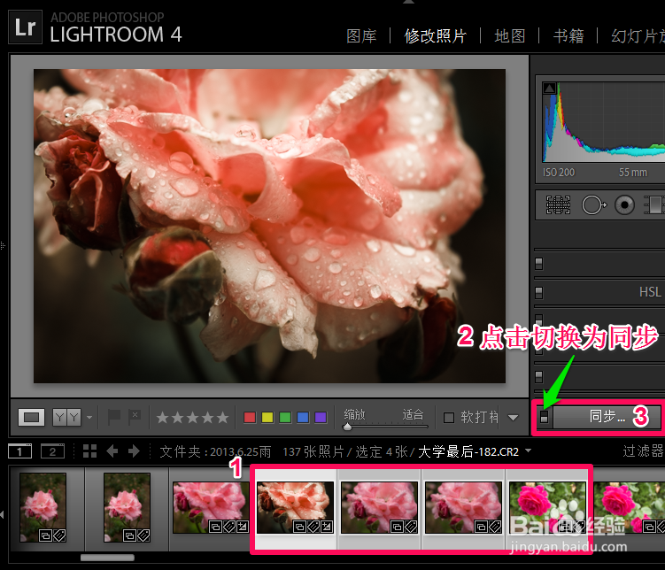 Adobe Photoshop Lightroom