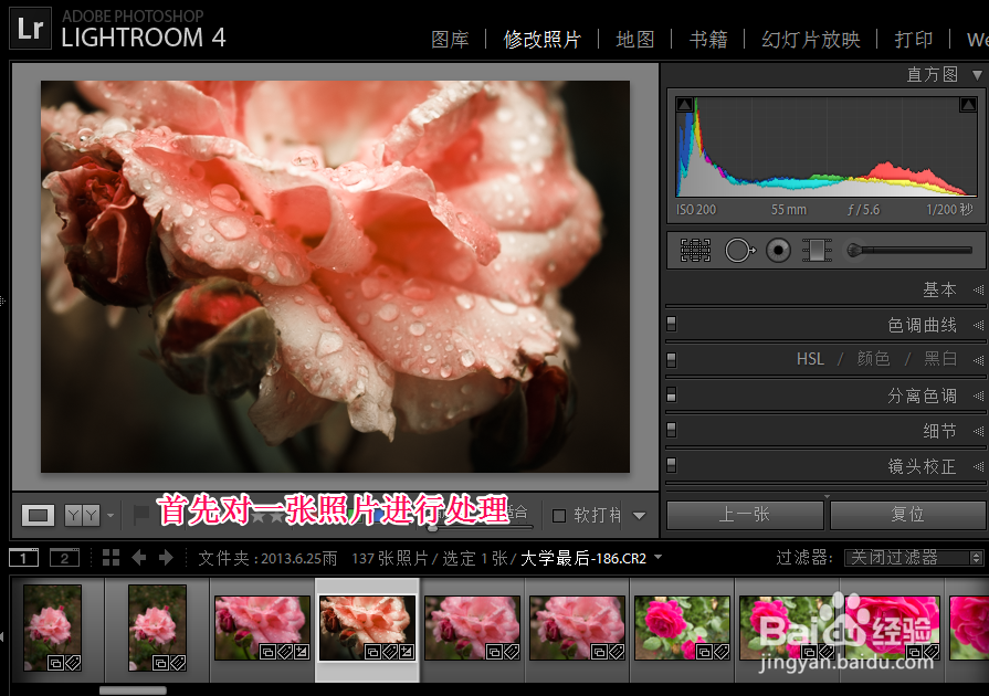 Adobe Photoshop Lightroom