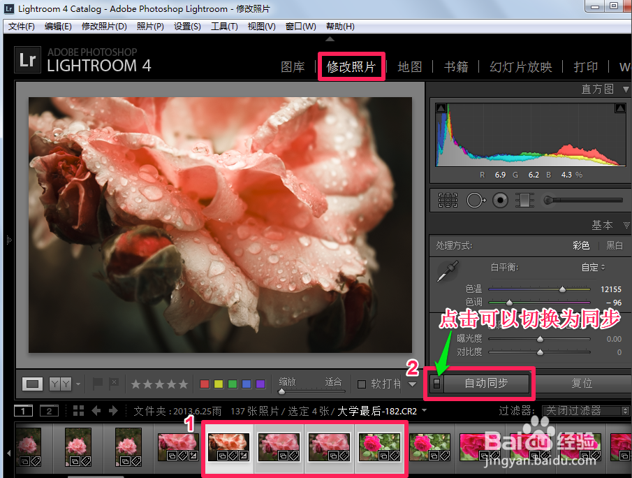 Adobe Photoshop Lightroom