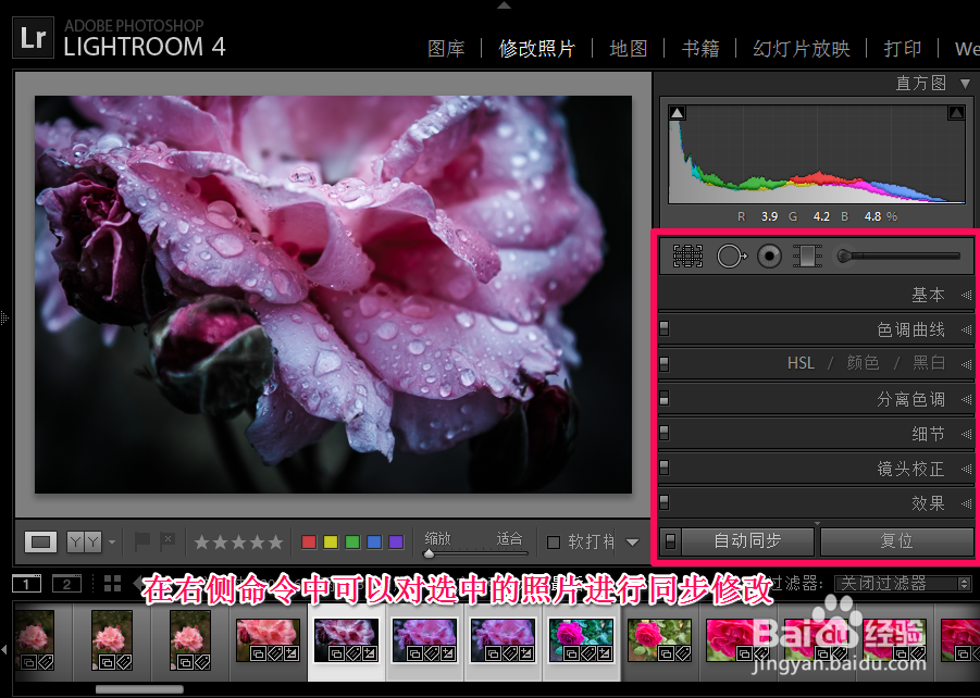 Adobe Photoshop Lightroom