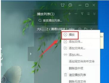 爱奇艺万能播放器
