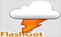 FlashGot