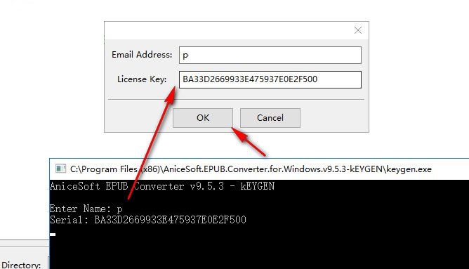 AniceSoft EPUB Converter