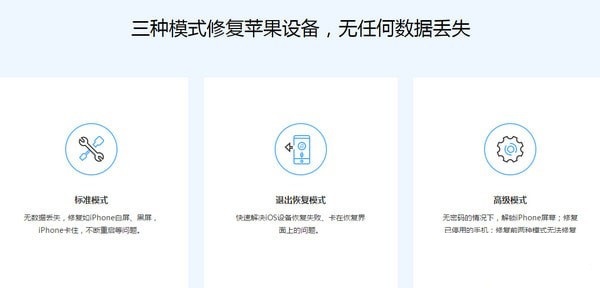 瘋師傅蘋果修復大師