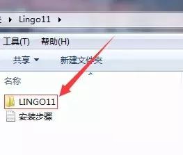 Lingo 11