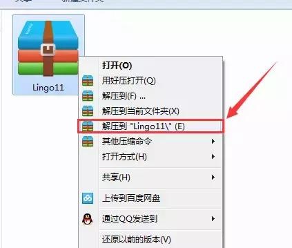 Lingo 11