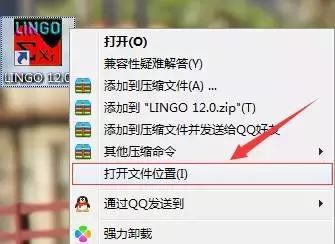 Lingo 12