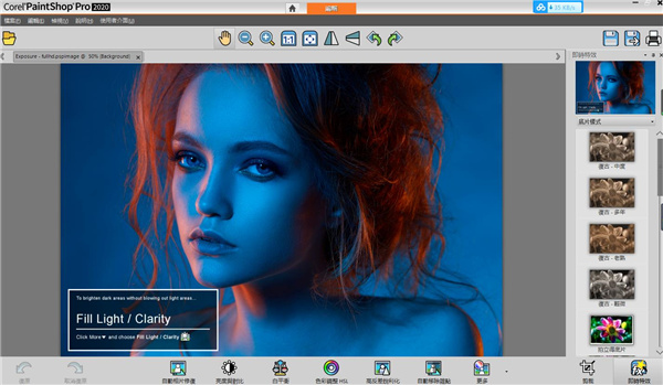 Corel PaintShop Pro 2020