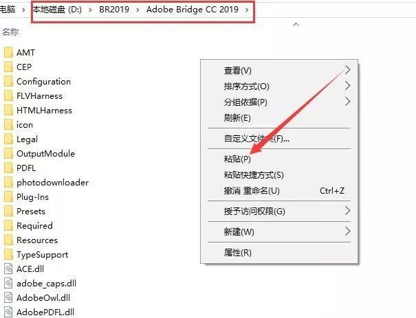 Adobe Bridge CC 2019