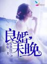 良婚未晚4.0.0