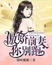 傲娇前妻你别跑4.0.0