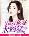 BOSS宠妻太凶猛4.0.0