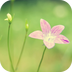 壁纸1.0.2