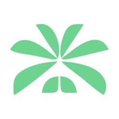 CM在线.