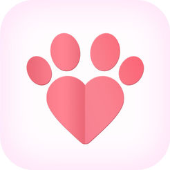 猫秀