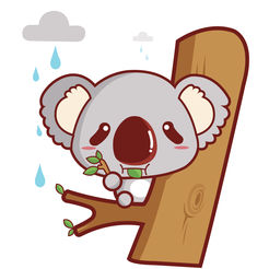 小熊怕雨