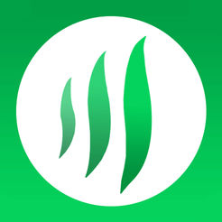 茶城防伪