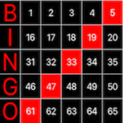 Bingo Light Board1
