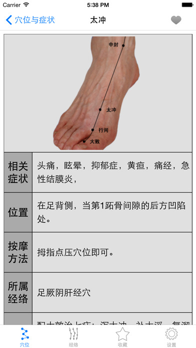 人体穴位图解按摩大全免费版HD家庭自我保健