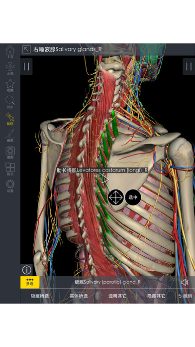 3dbody解剖