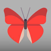 Butterfly Go! - Travel and catch them all1