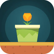 Drop Flower Pots Challenge Pro 20162