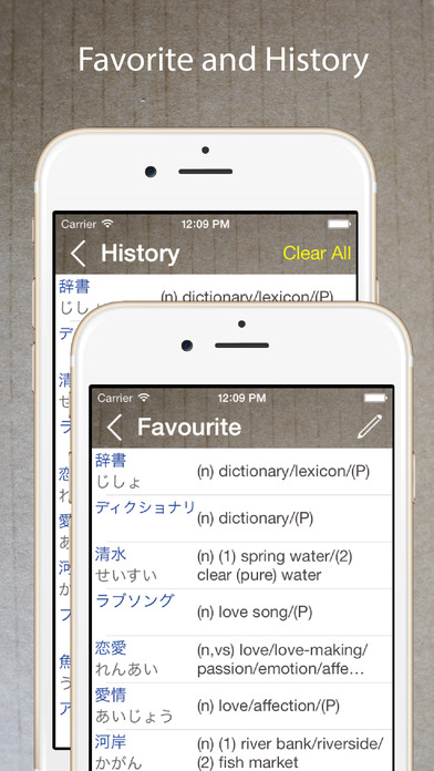 字典英日词典-免费双向英语日本语翻译发声辞