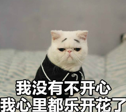 高冷猫咪表情包