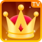 疯狂冠军TV版1.1.0