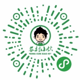 农村小伙官网