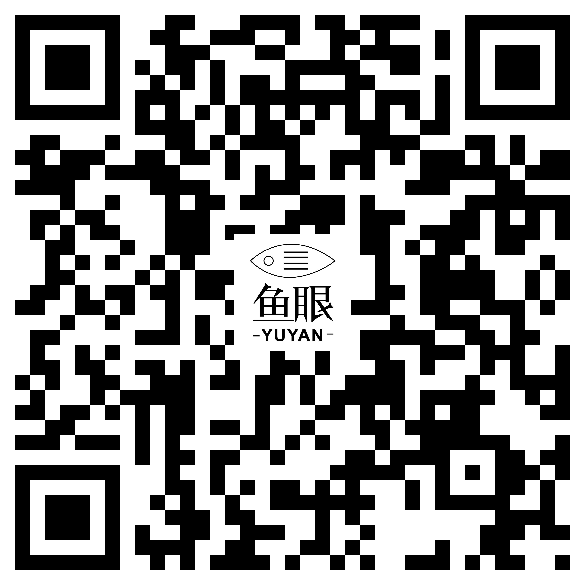 鱼眼视频V