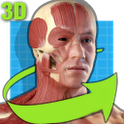 轻松人体解剖:Easy Anatomy 3D4