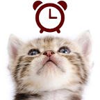 猫咪桌面指针时钟:Cat Clocks1.0.4