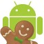 GingerBreak一键root工具:Android 2.31.2
