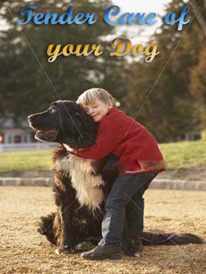 Tender Care Of Your Dog