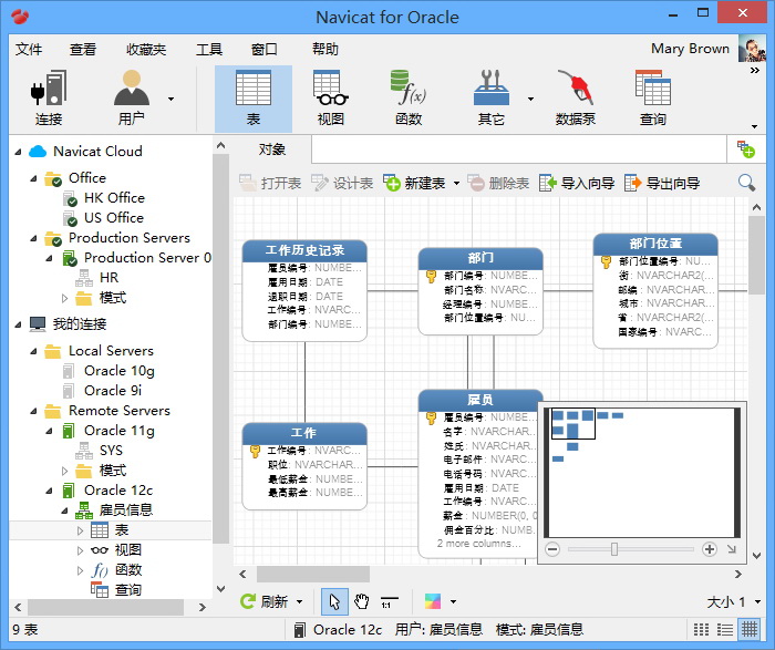 Navicat for Oracle 11 (数据库管理开发工具软件)