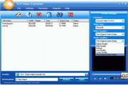 Eztoo FLV Video Converter