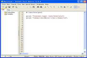 DzSoft Perl Editor